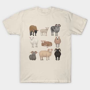 Sheep collection T-Shirt